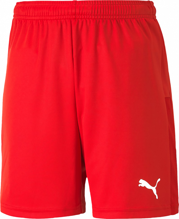 Puma - Teamgoal 23 Knit Shorts - Red